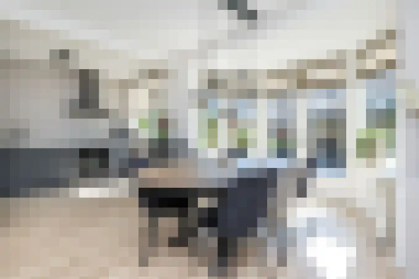 Rembrandtlaan 51 Middelharnis thumbnail 9