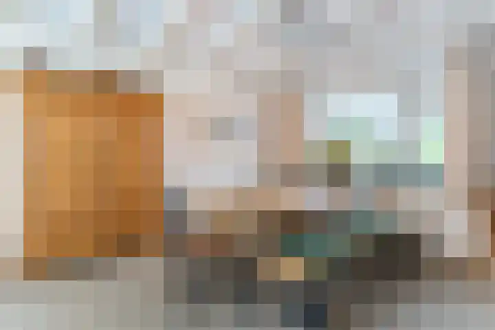 Rembrandtlaan 51 Nijkerk thumbnail 10