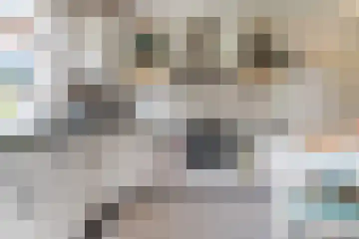 Rembrandtlaan 51 Nijkerk thumbnail 14