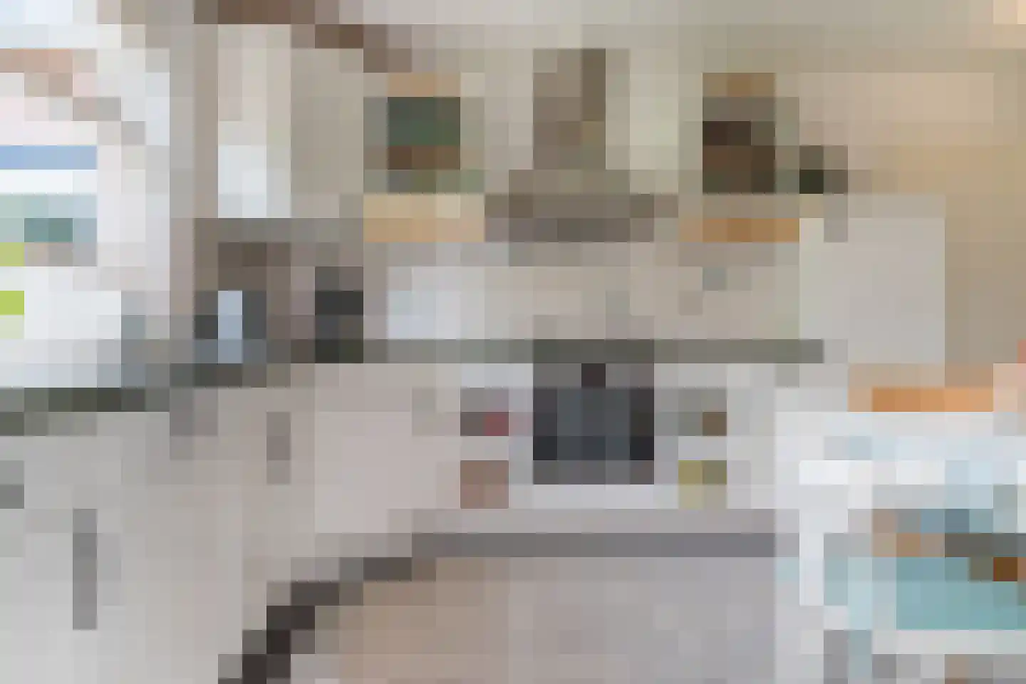 Rembrandtlaan 51 Nijkerk thumbnail 14