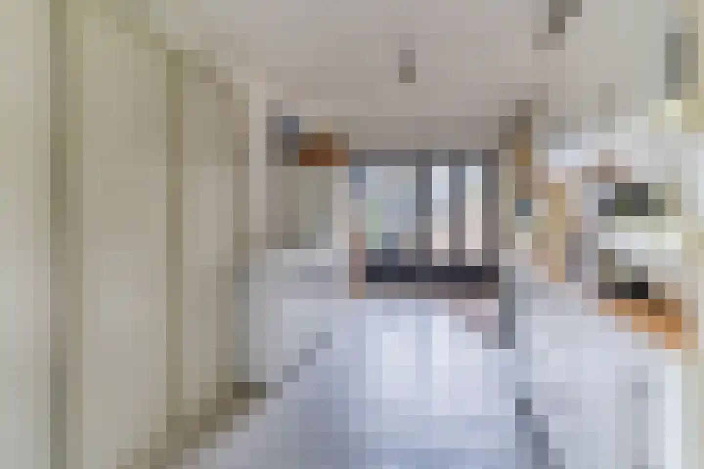 Rembrandtlaan 51 Nijkerk thumbnail 16