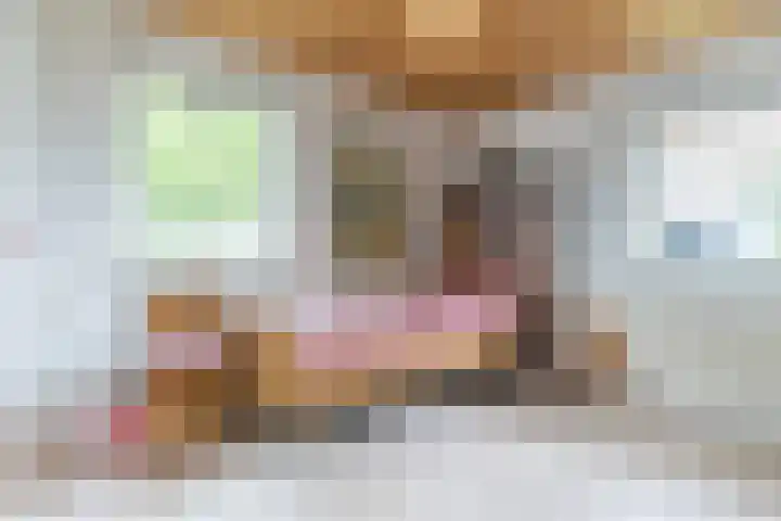 Rembrandtlaan 51 Nijkerk thumbnail 19