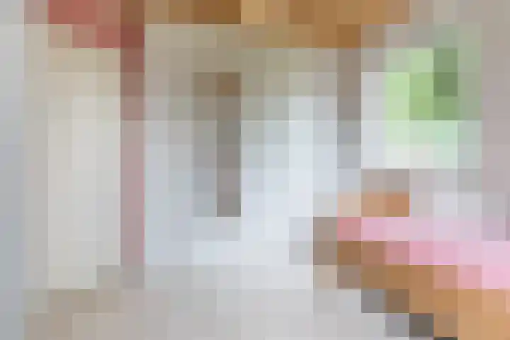 Rembrandtlaan 51 Nijkerk thumbnail 20