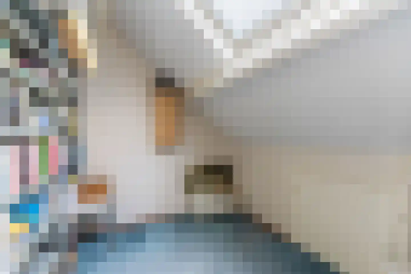 Rembrandtlaan 51 Nijkerk thumbnail 29