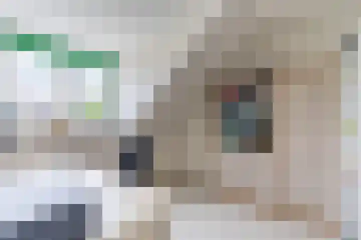 Rembrandtlaan 51 Nijkerk thumbnail 30