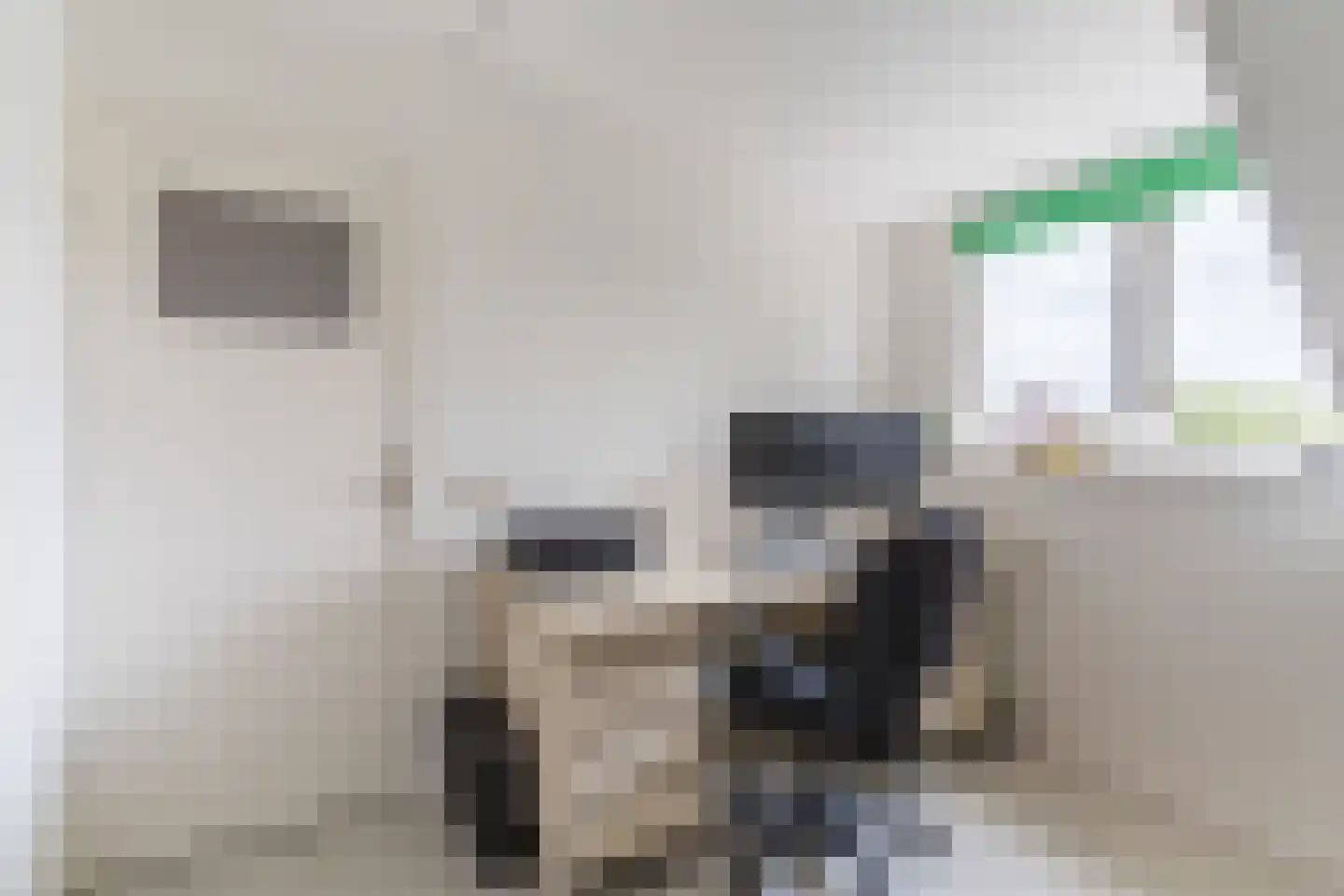 Rembrandtlaan 51 Nijkerk thumbnail 31