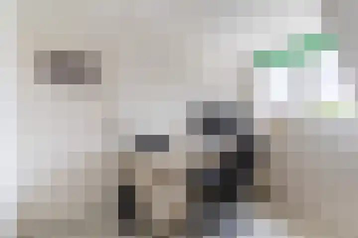 Rembrandtlaan 51 Nijkerk thumbnail 31