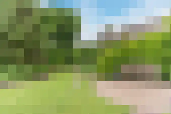 Rembrandtlaan 51 Nijkerk thumbnail 37
