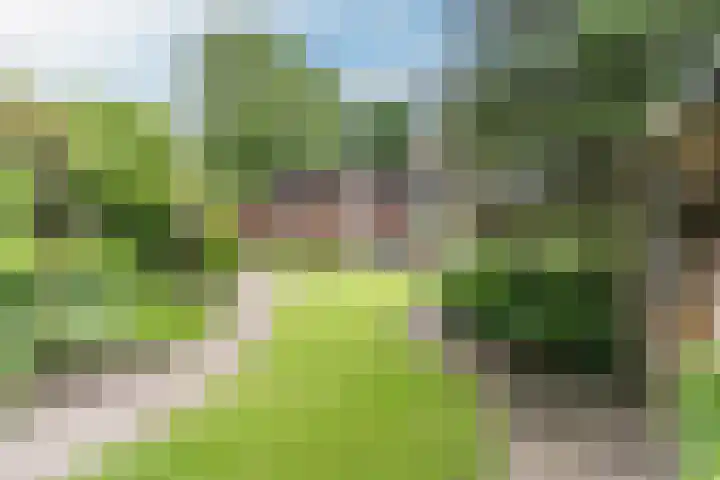 Rembrandtlaan 51 Nijkerk thumbnail 39