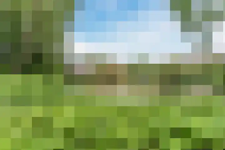 Rembrandtlaan 51 Nijkerk thumbnail 42