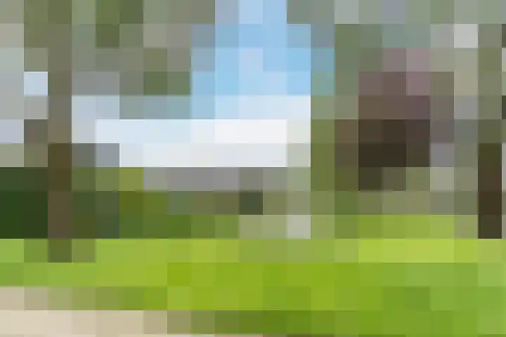 Rembrandtlaan 51 Nijkerk thumbnail 43
