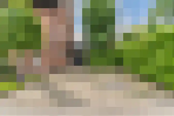 Rembrandtlaan 51 Nijkerk thumbnail 5