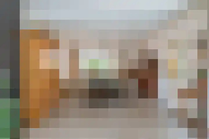 Rembrandtlaan 51 Nijkerk thumbnail 9