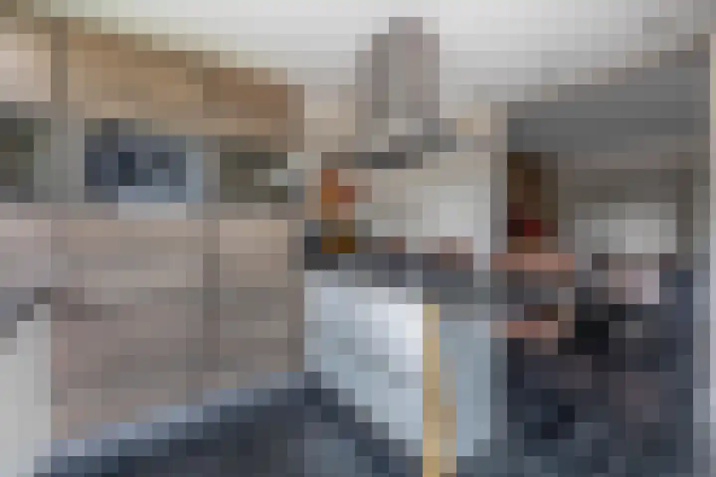 Rembrandtlaan 52 Sprang-Capelle thumbnail 18