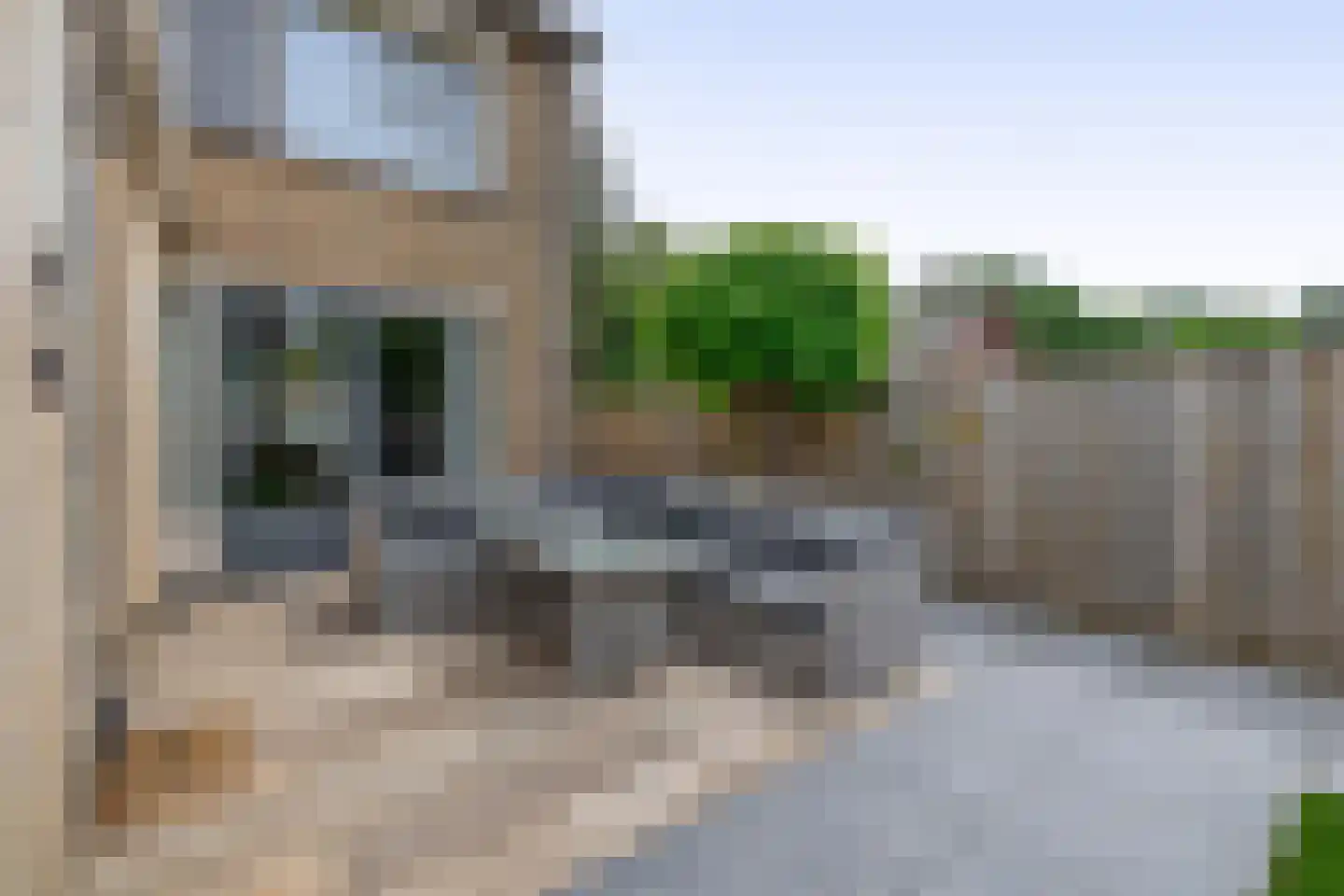 Rembrandtlaan 52 Sprang-Capelle thumbnail 22