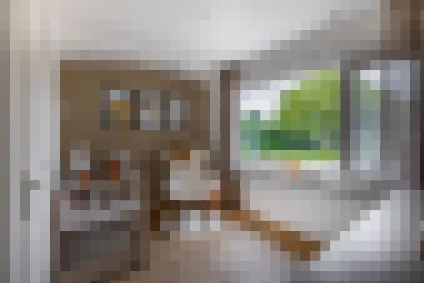Rembrandtlaan 52 Sprang-Capelle thumbnail 30