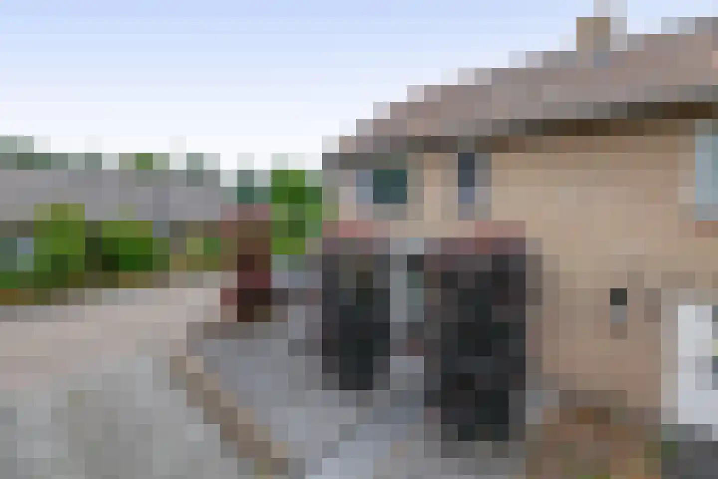 Rembrandtlaan 52 Sprang-Capelle thumbnail 5