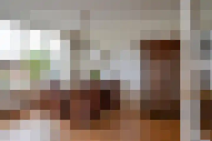 Rembrandtlaan 54 Scherpenzeel thumbnail 11