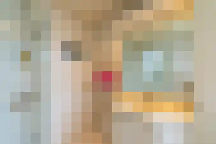 Rembrandtlaan 54 Scherpenzeel thumbnail 22