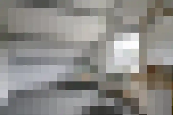 Rembrandtlaan 54 Scherpenzeel thumbnail 25