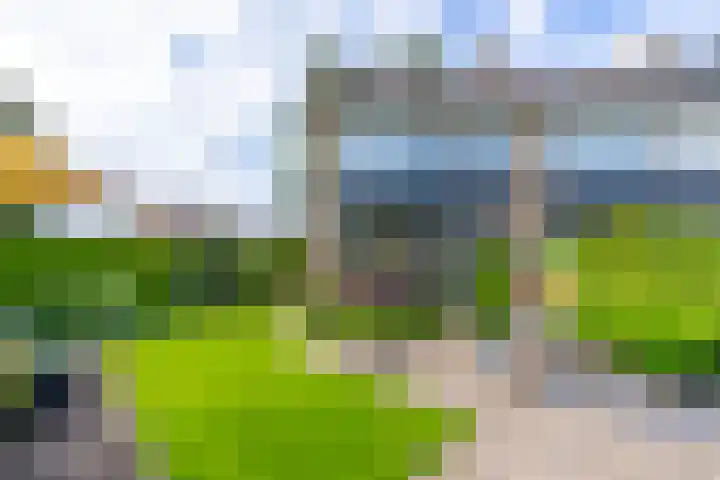 Rembrandtlaan 54 Scherpenzeel thumbnail 26