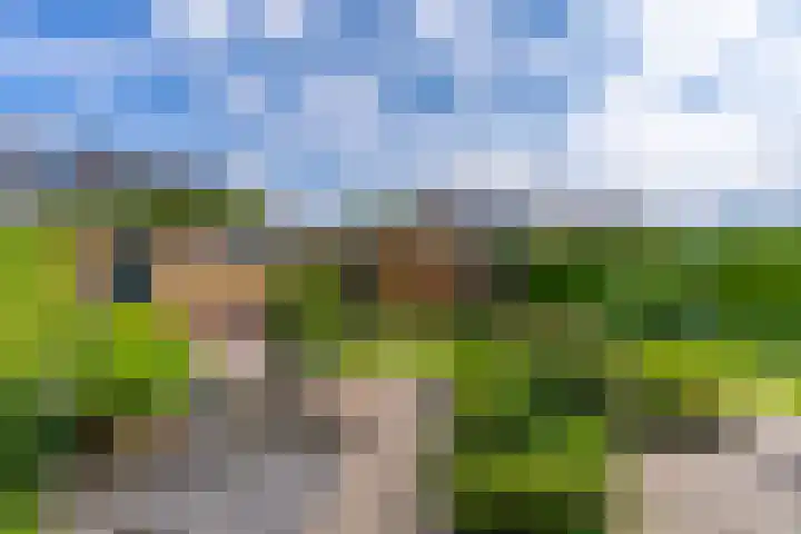 Rembrandtlaan 54 Scherpenzeel thumbnail 27