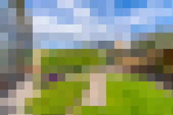 Rembrandtlaan 54 Scherpenzeel thumbnail 28
