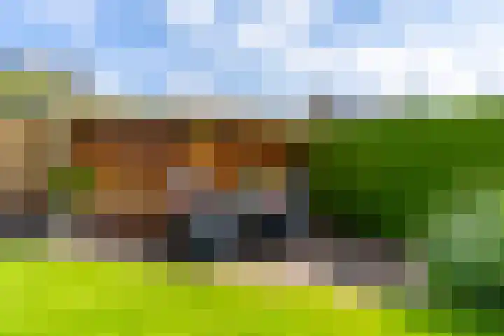 Rembrandtlaan 54 Scherpenzeel thumbnail 29