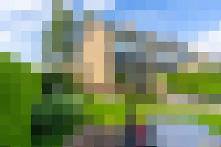 Rembrandtlaan 54 Scherpenzeel thumbnail 30
