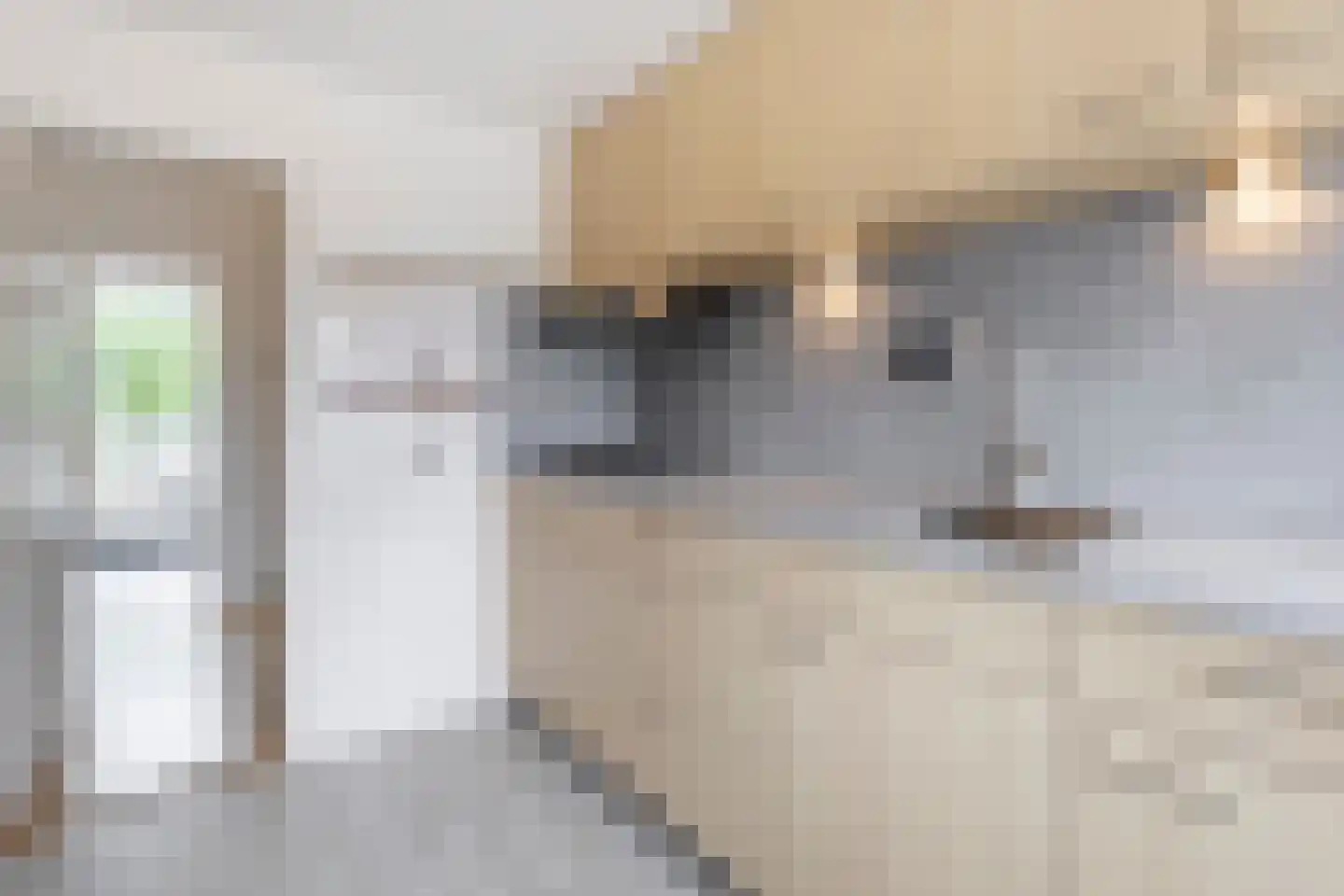 Rembrandtlaan 55 a Sliedrecht thumbnail 8