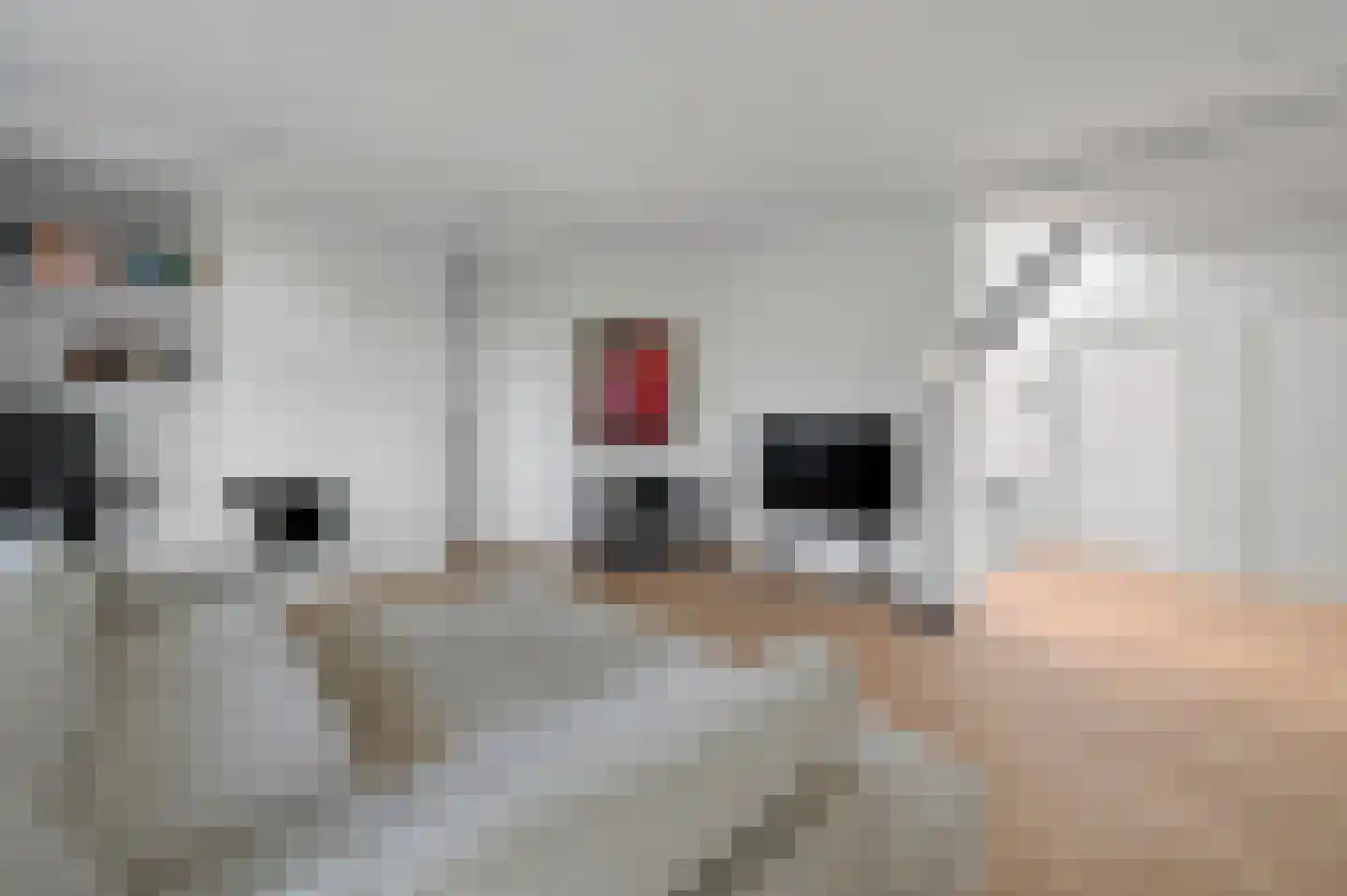 Rembrandtlaan 56 Voorburg thumbnail 11