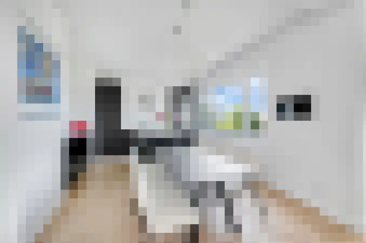 Rembrandtlaan 56 Voorburg thumbnail 13