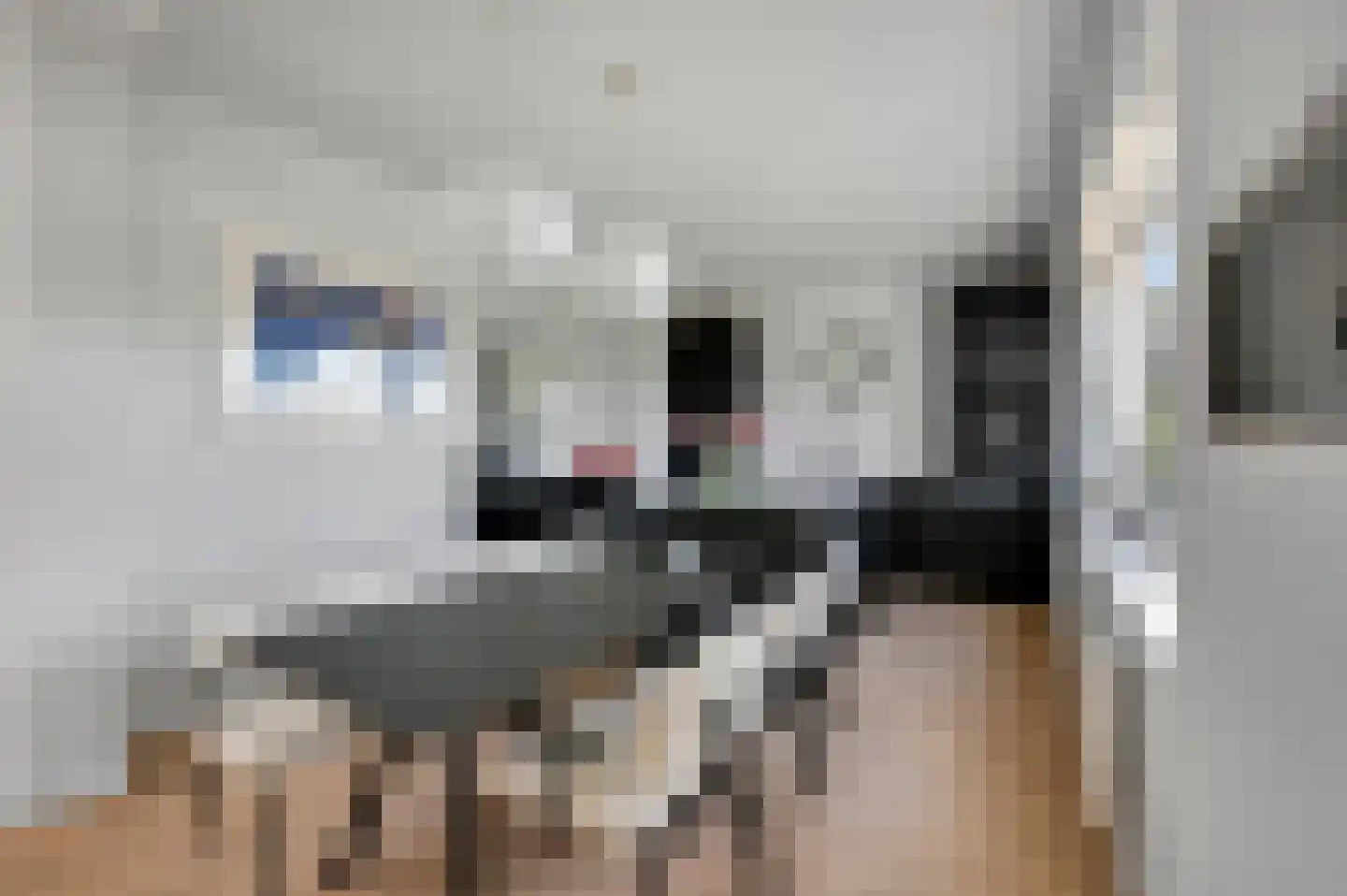 Rembrandtlaan 56 Voorburg thumbnail 14