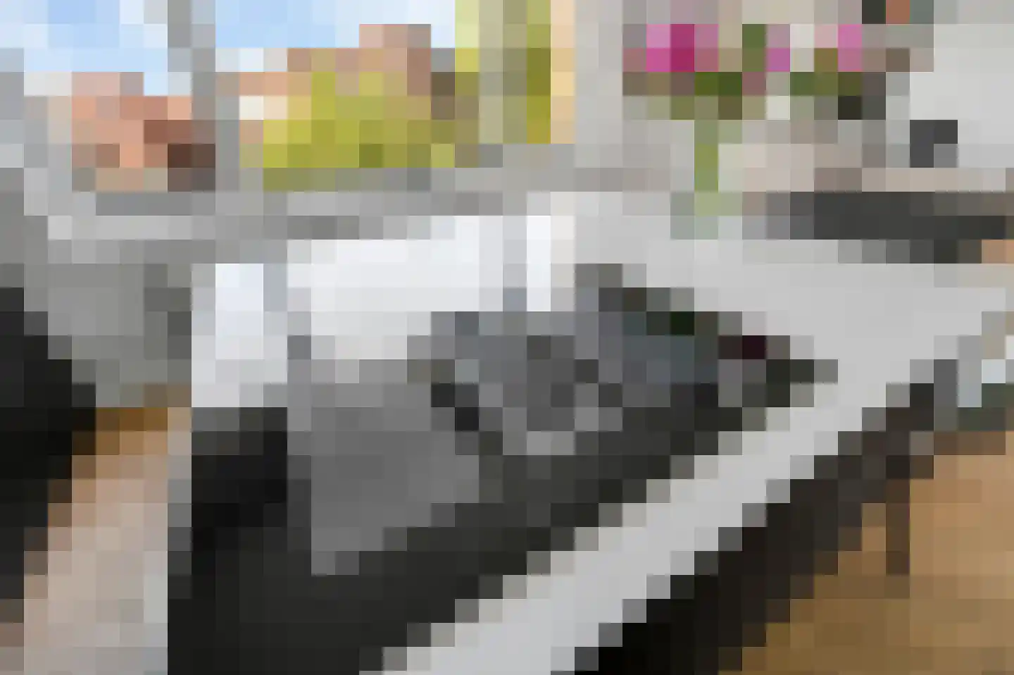 Rembrandtlaan 56 Voorburg thumbnail 15