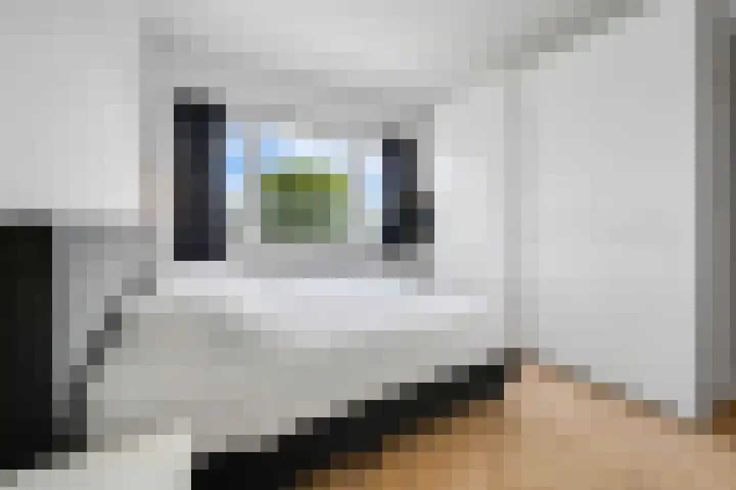 Rembrandtlaan 56 Voorburg thumbnail 20
