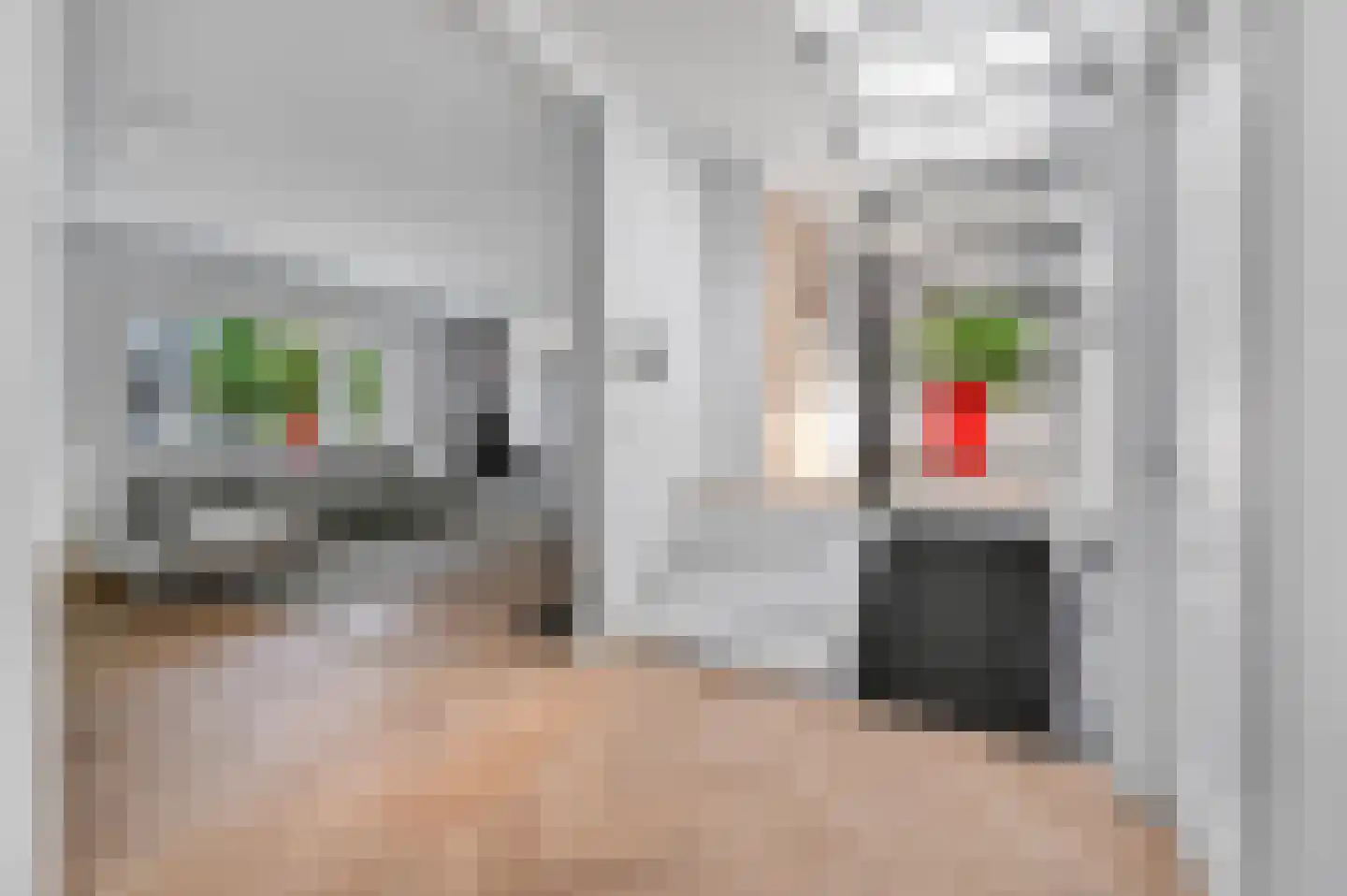 Rembrandtlaan 56 Voorburg thumbnail 9
