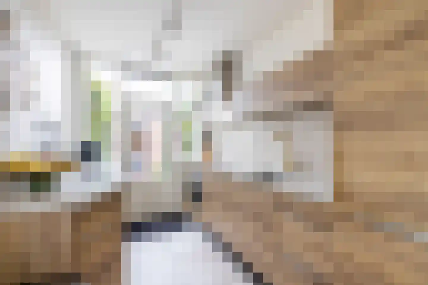 Rembrandtlaan 57 Maassluis thumbnail 23