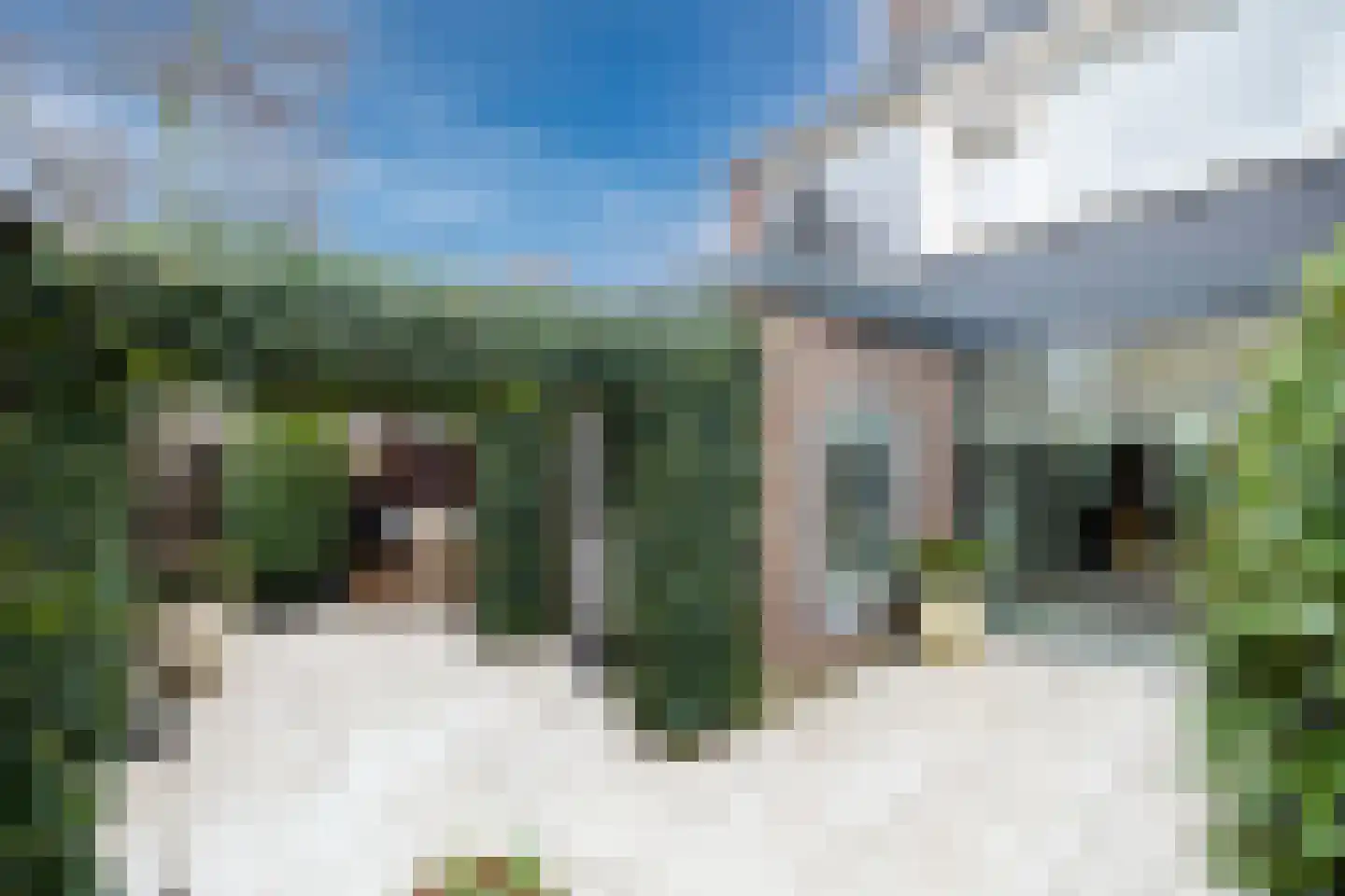 Rembrandtlaan 57 Maassluis thumbnail 24