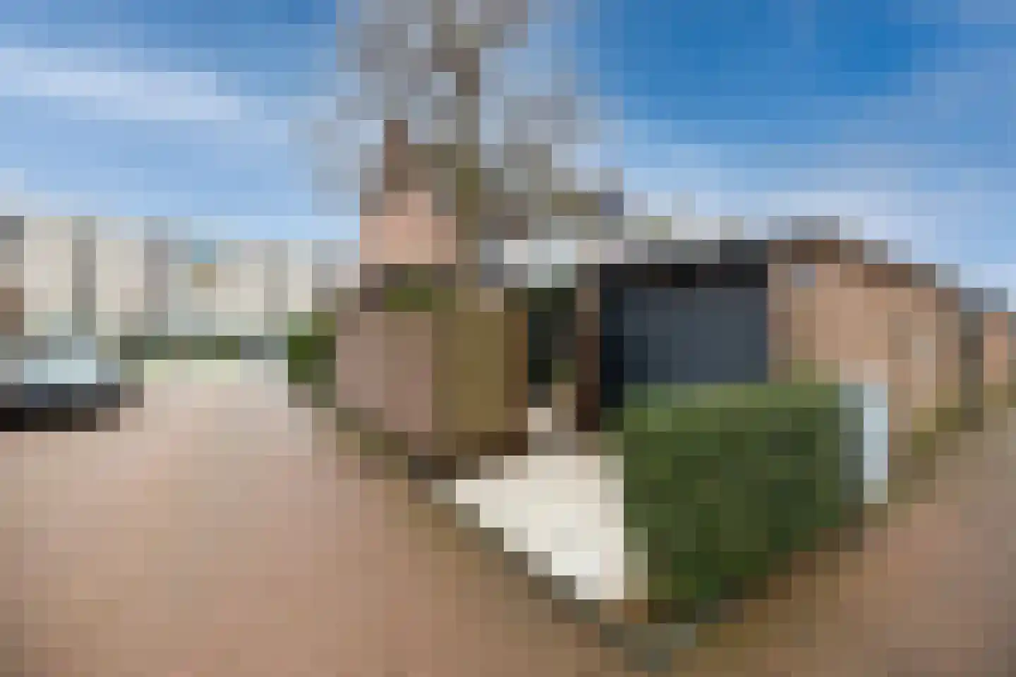 Rembrandtlaan 57 Maassluis thumbnail 31