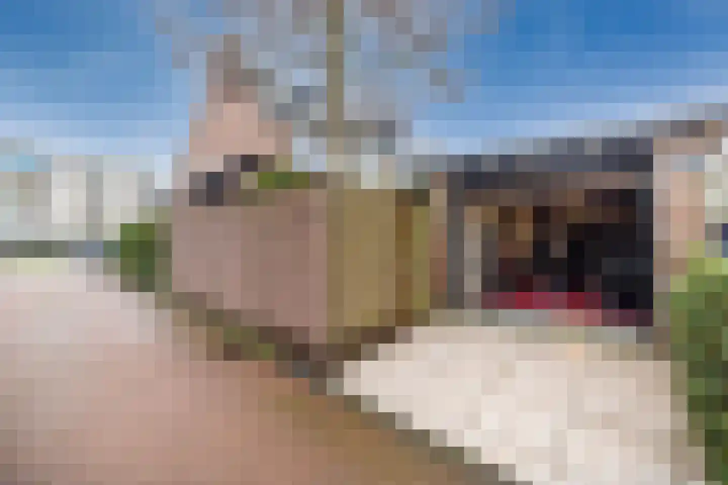 Rembrandtlaan 57 Maassluis thumbnail 32