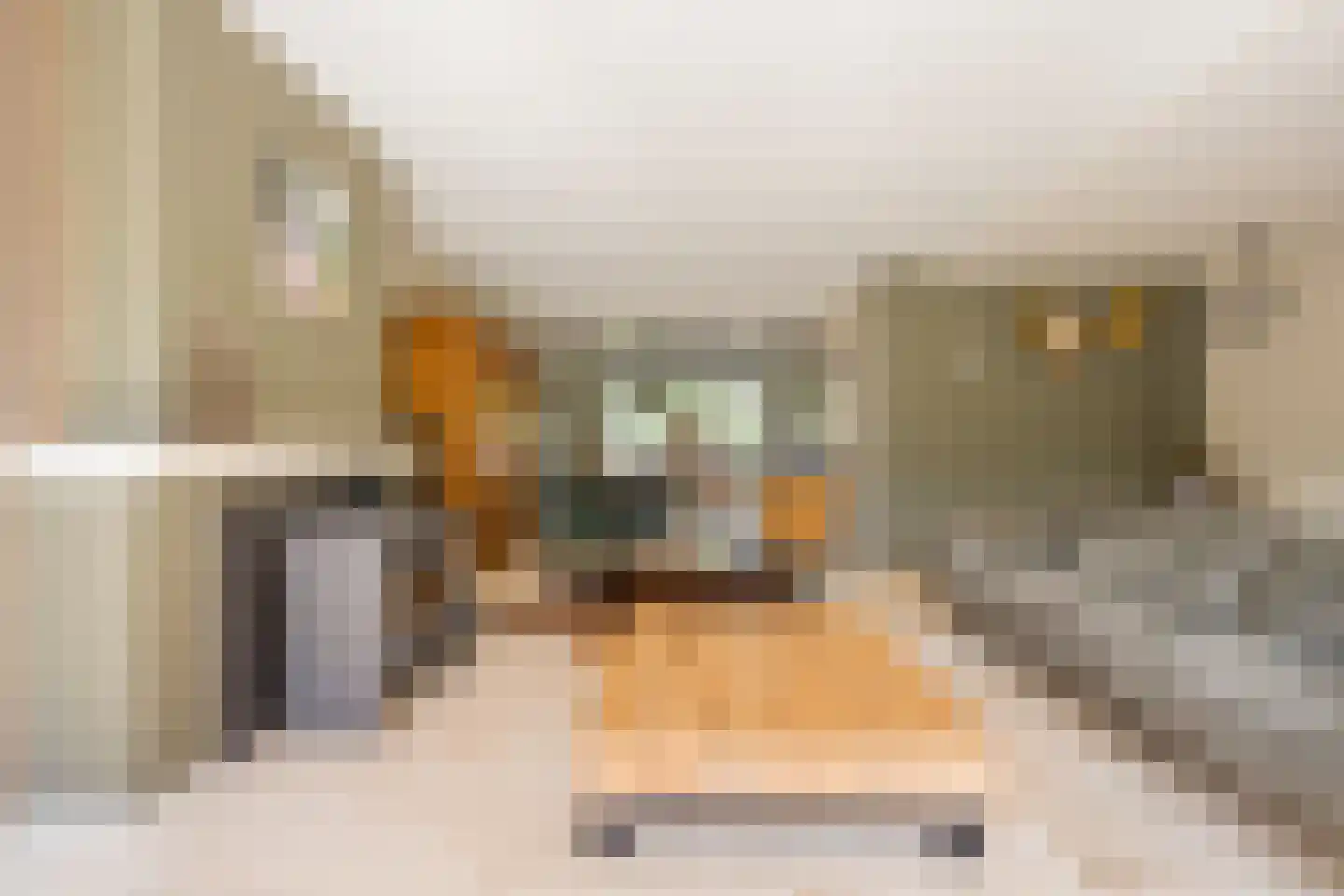 Rembrandtlaan 57 Nijkerk thumbnail 11