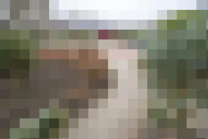 Rembrandtlaan 58 Eerbeek thumbnail 29