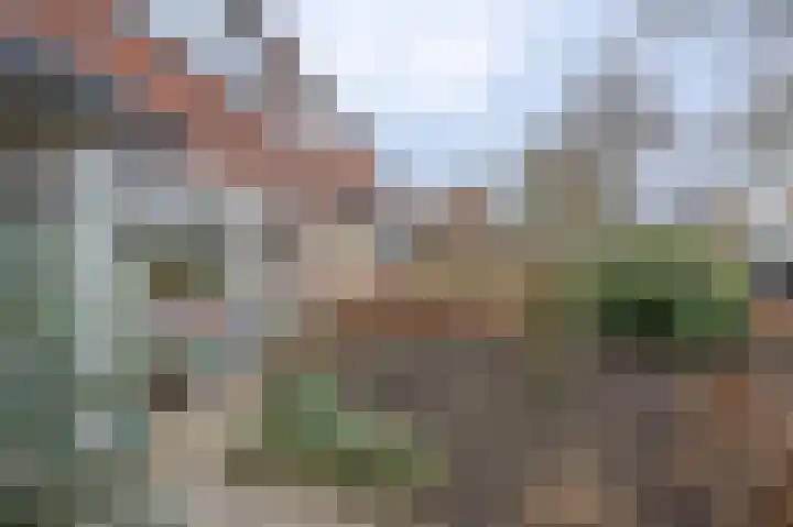 Rembrandtlaan 58 Eerbeek thumbnail 31