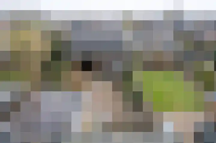 Rembrandtlaan 58 Eerbeek thumbnail 32