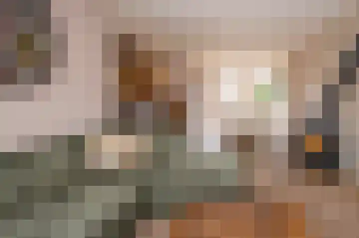 Rembrandtlaan 58 Eerbeek thumbnail 5