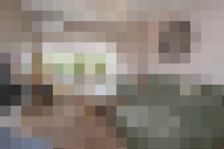 Rembrandtlaan 58 Eerbeek thumbnail 7