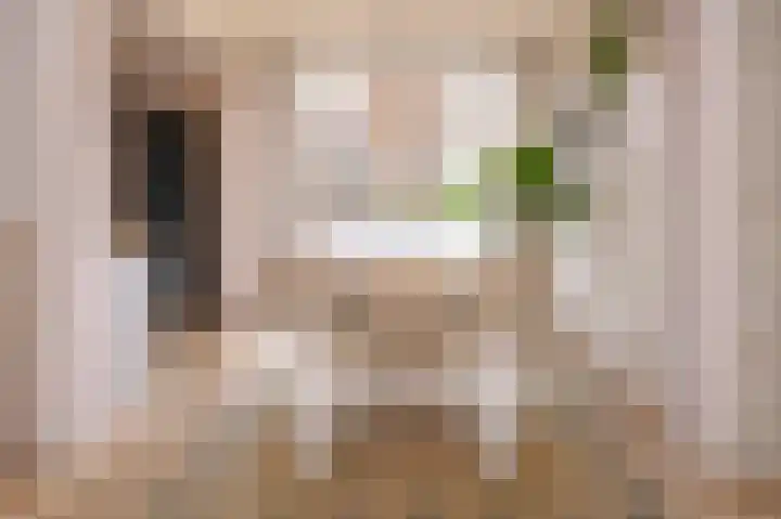 Rembrandtlaan 58 Eerbeek thumbnail 8