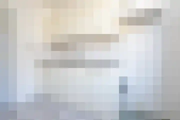 Rembrandtlaan 58 Middelharnis thumbnail 10