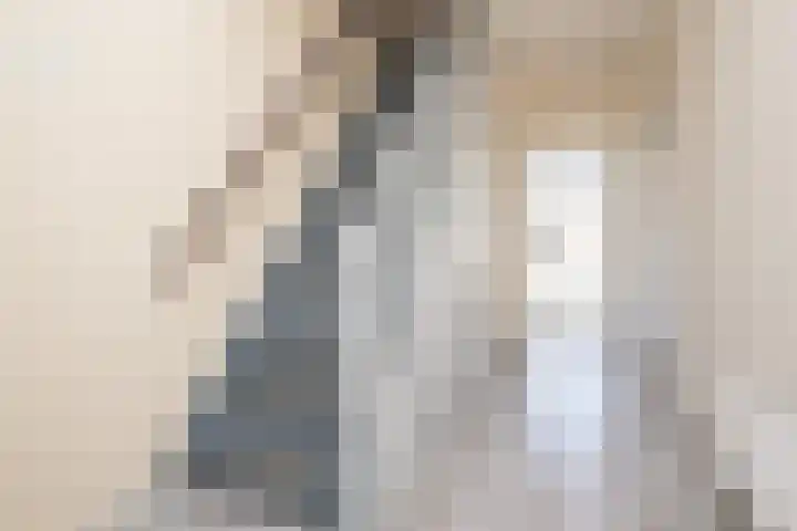 Rembrandtlaan 58 Middelharnis thumbnail 11