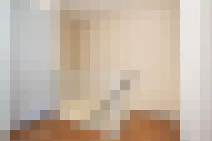 Rembrandtlaan 58 Middelharnis thumbnail 12